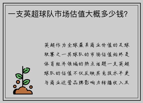 一支英超球队市场估值大概多少钱?